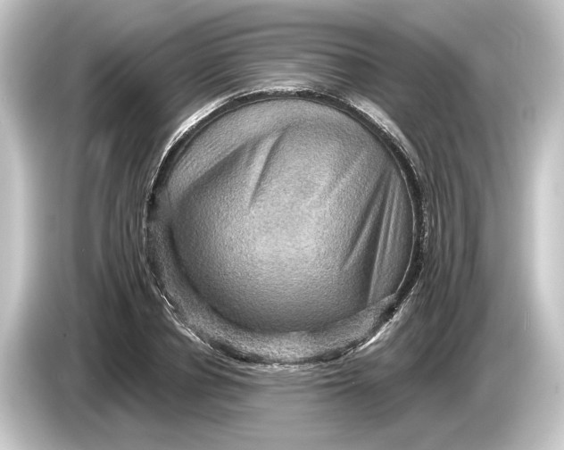 X0000084530834200703161606