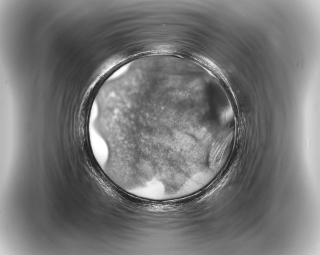 X0000084530835200703161606