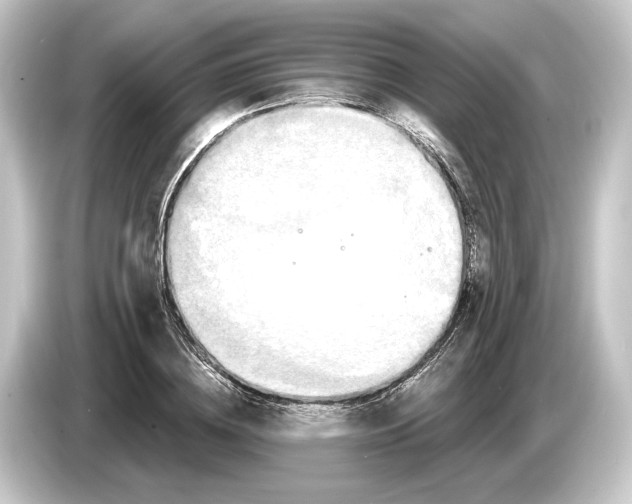 X0000084530836200703161606