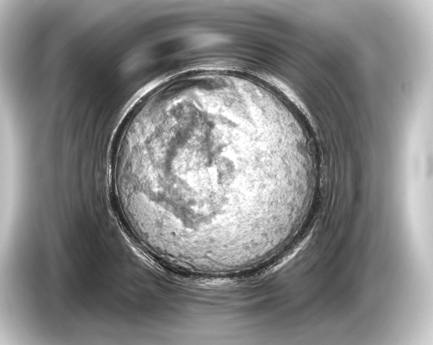 X0000084530837200703161606