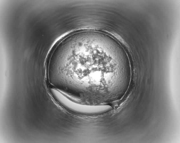 X0000084530838200703161606