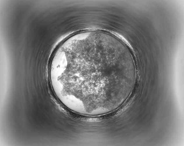 X0000084530839200703161607