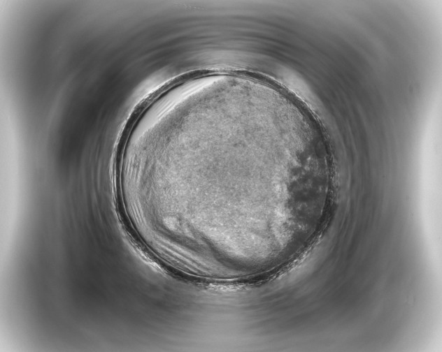 X0000084530840200703161607