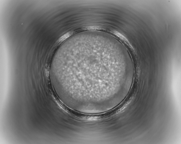 X0000084530841200703161607