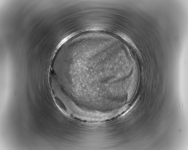 X0000084530842200703161607