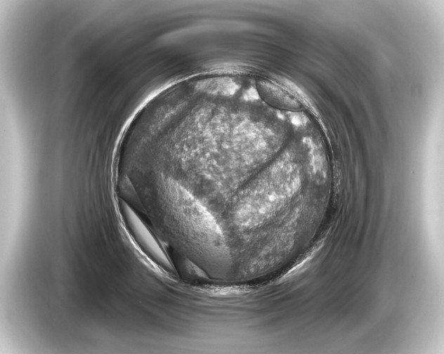 X0000084530843200703161607