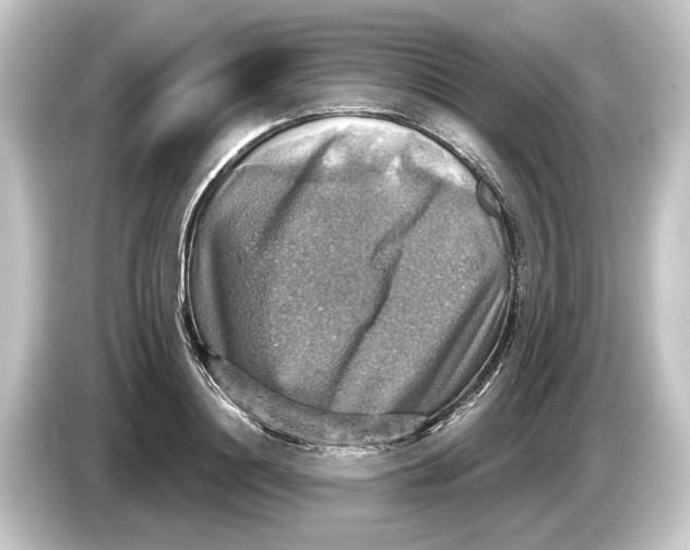 X0000084530844200703161607