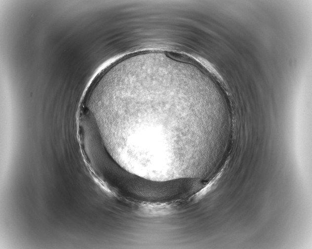 X0000084530846200703161607