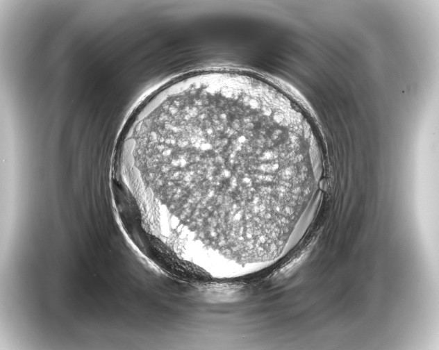 X0000084530847200703161607