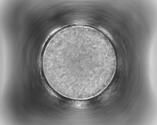 X0000084530848200703161607