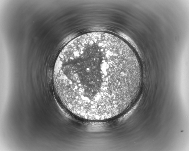 X0000084530849200703161607