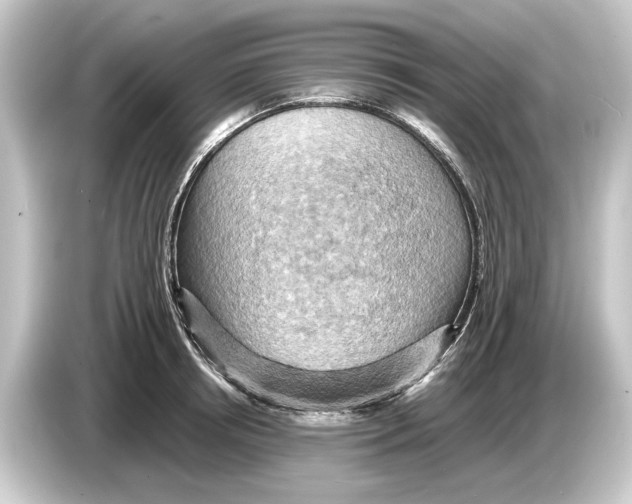 X0000084530850200703161607