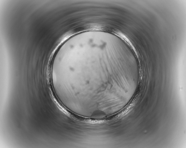 X0000084530851200703161607