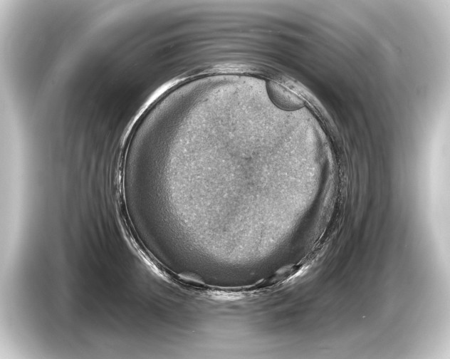 X0000084530852200703161607