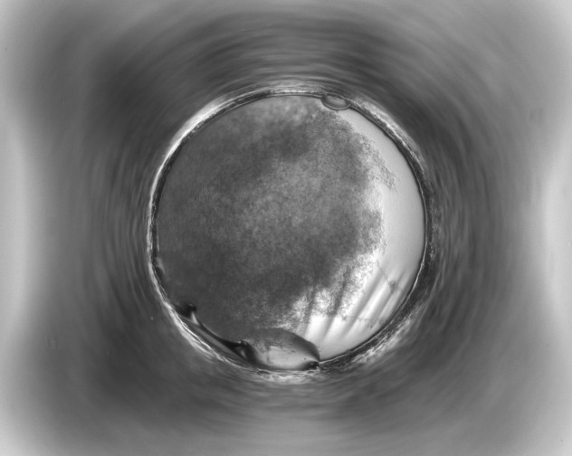 X0000084530853200703161607