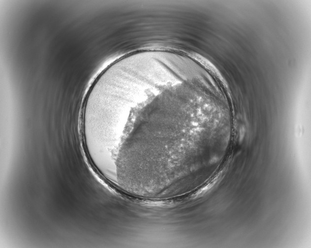 X0000084530855200703161607