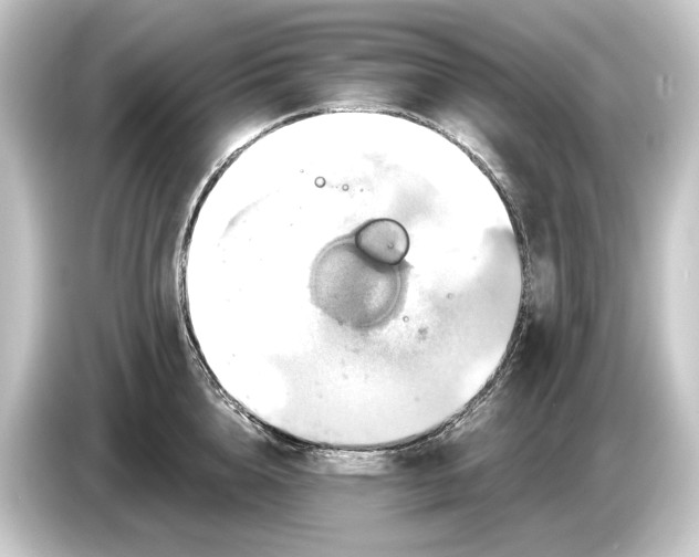 X0000084530856200703161607