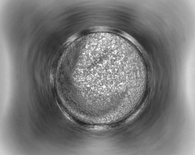 X0000084530857200703161607