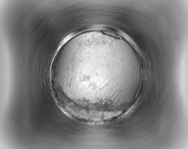 X0000084530858200703161607