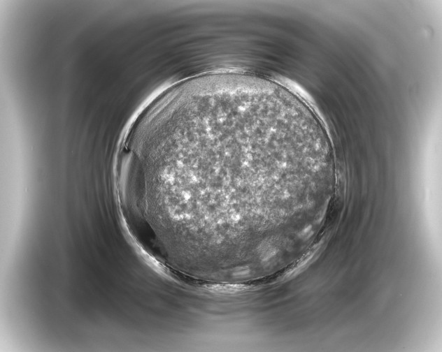 X0000084530859200703161607