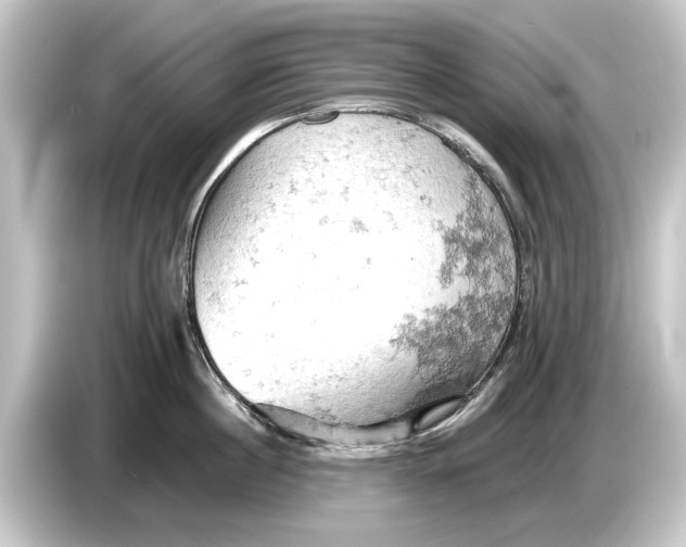 X0000084530860200703161607