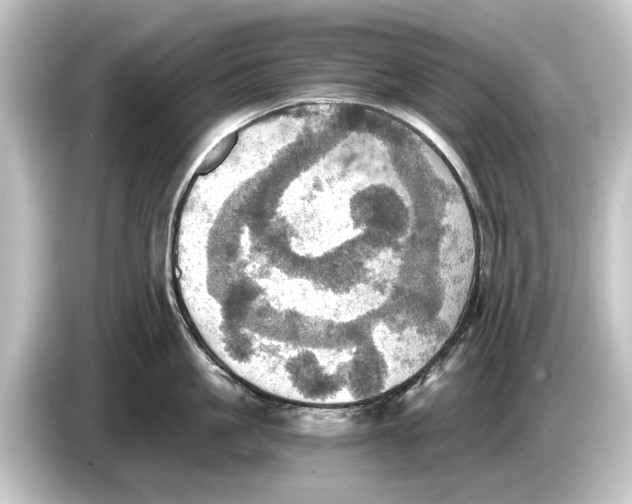 X0000084530861200703161607