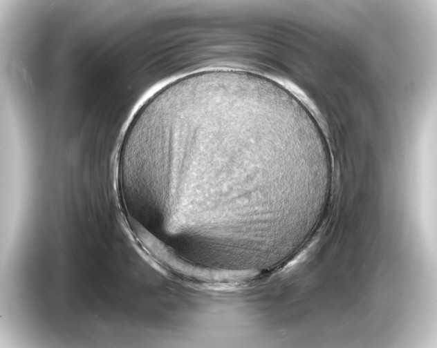 X0000084530862200703161607