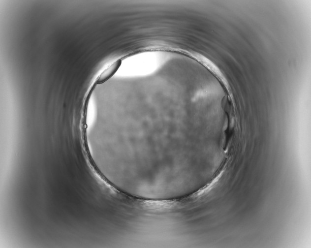 X0000084530863200703161607