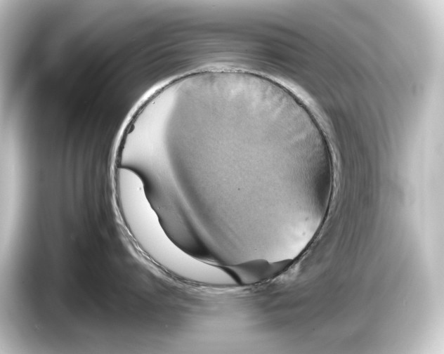 X0000084530864200703161607