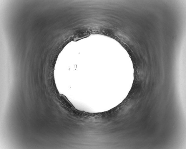 X0000084530865200703161606