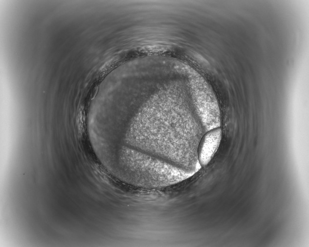 X0000084530866200703161606