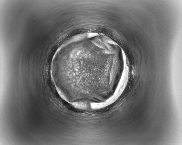 X0000084530867200703161606