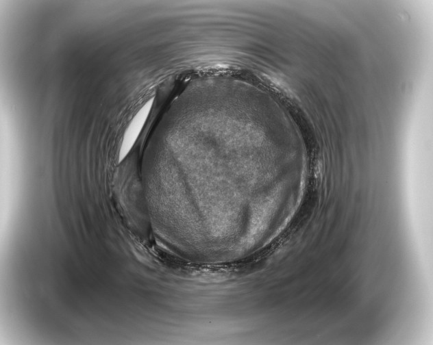 X0000084530868200703161606