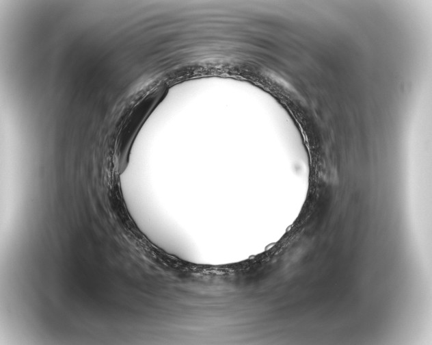 X0000084530869200703161606