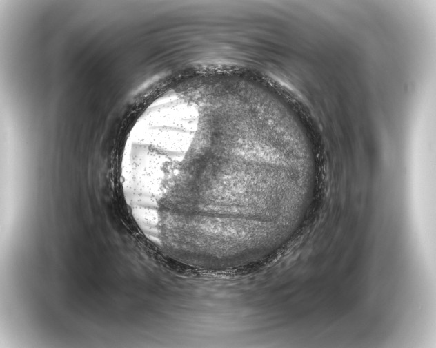 X0000084530870200703161606