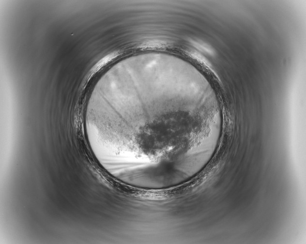 X0000084530874200703161606