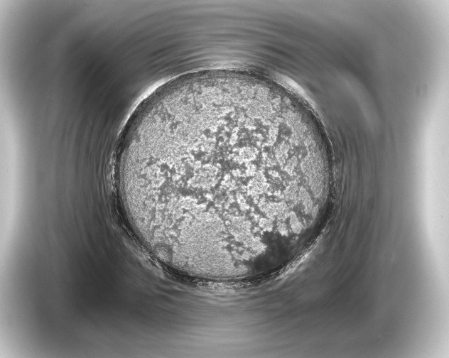 X0000084530875200703161606