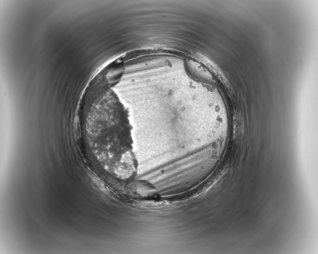 X0000084530876200703161606