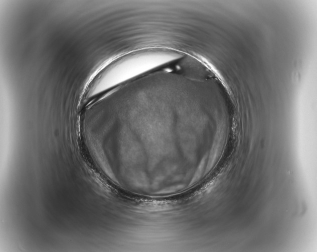 X0000084530877200703161606