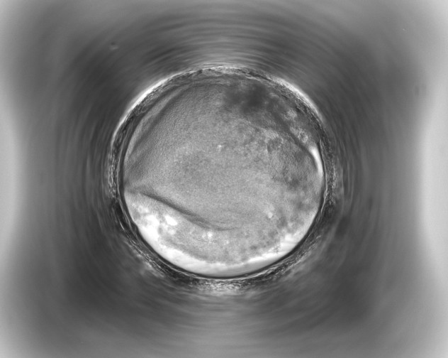 X0000084530878200703161606