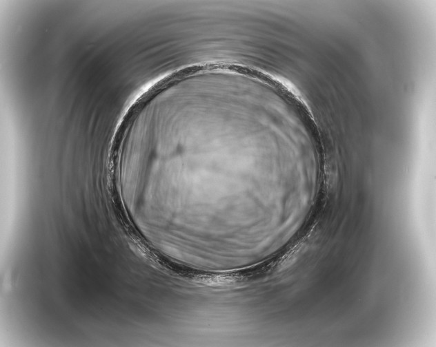 X0000084530879200703161606