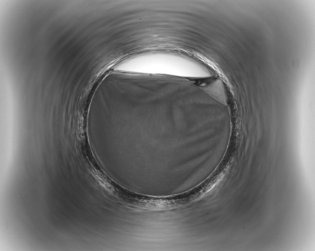 X0000084530881200703161606