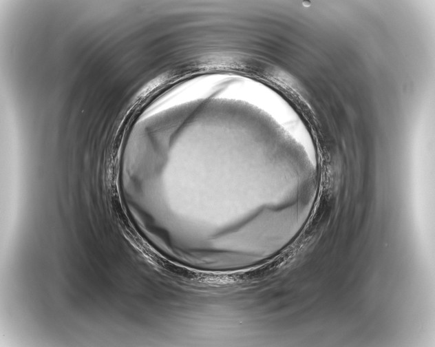 X0000084530882200703161606