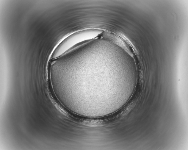 X0000084530884200703161606