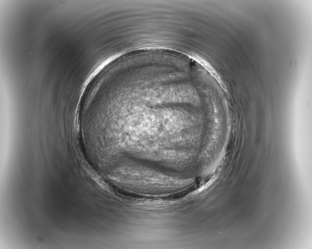 X0000084530885200703161606