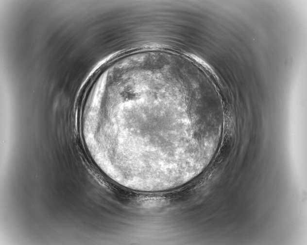 X0000084530886200703161606