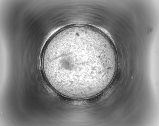 X0000084530887200703161606