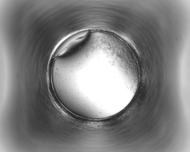 X0000084530888200703161606