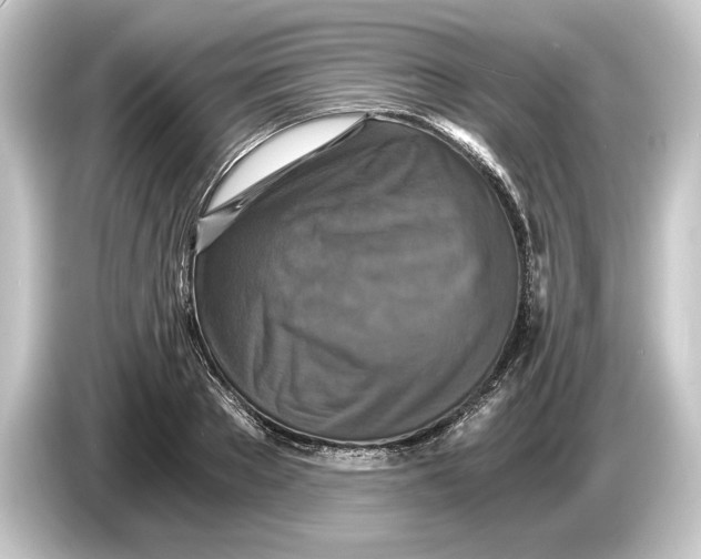 X0000084530889200703161606