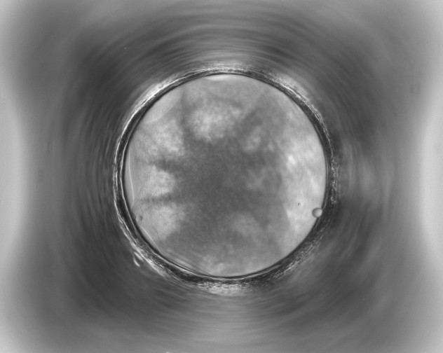 X0000084530890200703161606